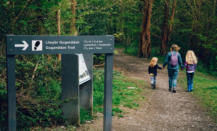 Waymarked walking trail, Gogerddan Wood